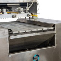 Machine à décorer automatique GUSU en acier inoxydable pour le badigeonnage de biscuits et gâteaux