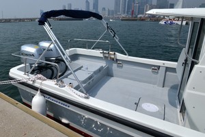 Grandsea قارب صيد 35ft/11m Panga قارب صيد يخت سفينة صيد - Product Image 5