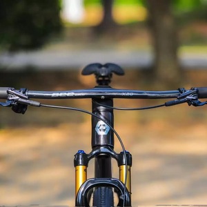 Bicicleta de Montaña BeeBIKE de 29 Pulgadas, Fibra de Carbono Ultraligera, 12 Velocidades, Frenos de Disco Hidráulicos, Speed Link S100Sagle MTBCV3010 - Product Image 5