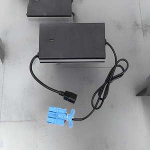 Cargador de Baterías para Montacargas Eléctricos, Proveedor B2B de Cargadores de Baterías, Proveedor de Cargadores Eléctricos con Certificación CE C (Cargador y Equilibrador de Baterías de NiMH) - Product Image 1