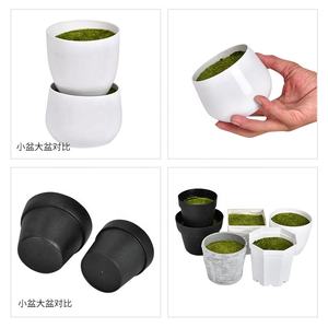 <span class=keywords><strong>Maceta</strong></span> de plástico de simulación de flores, suministro de fábrica, con espuma, planta de jardinería suculenta, <span class=keywords><strong>maceta</strong></span> pequeña - Product Image 3