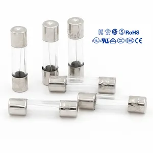 IEC Glass Fuses 5x20mm Automotive electronic glass tube electronic fuses