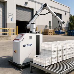 Robot Apilador de Palés - Sistema Automático Rayman para Líneas de Producción, Manipulación de Productos de Papel, Plástico, Metal y Vidrio - Product Image 1