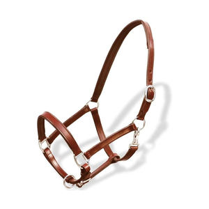 Licol de cheval moderne en cuir de couleur personnalisée avec rembourrage en polaire doux, ajustement confortable de la tête et nezelle confortable – Qualité supérieure - Product Image 4