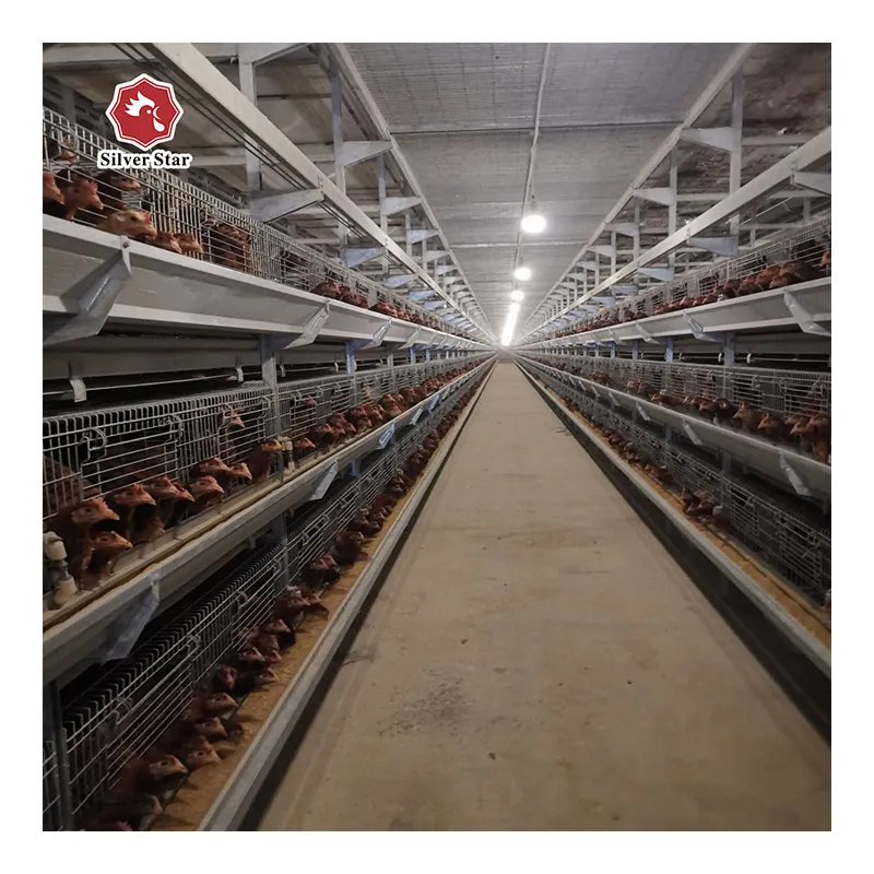 ماكينة مزرعة دجاج اقفاص دجاج مجلفنة بالغمس الساخن اقفاص دجاج طبقات