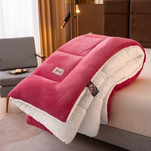 Bán Buôn Tùy Chỉnh Đơn Giản Phong Cách Sữa Nhung Mềm Ấm Cúng Dày Mùa Đông Bộ Đồ Giường Ấm Lên Chăn In Polyester Cho Khách Sạn - Product Image 2