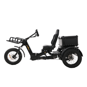 Tricycle à 2 places 1750W 60Ah avec une batterie, siège orienté vers l'avant, pour la famille, longue autonomie 200KM, puissance totale du moteur double 1750W (75 - Product Image 2