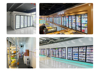 Chambre froide de plain-pied personnalisée à 22 portes, congélateur vitrine, refroidisseur -25°C 220V monophasé, stockage rapide de la glace pour aliments surgelés