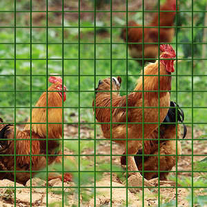 Grillage soudé en PVC vert GELE, tailles de trous 1/2'', 3/4'', 1'', 1/4'', rouleau de 3'x100', 20kg/25kg - Product Image 5