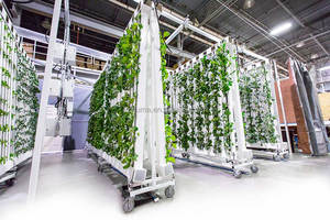 Torre Aeropónica Vertical para Cultivo Interior en Balcón, con Diseño de Fresa, Flor y Piña, 288 Orificios, Sistemas de Cultivo Hidropónico con Luz LED - Product Image 2