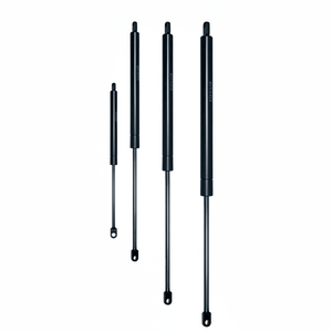 C 250 Carrera F 1000 N CILINDRO OLEOPNEUMÁTICO (VO25/100) - Product Image 1