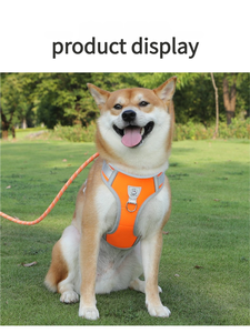 Correa y Collar para perros de varios colores, cuerda P de plomo, entrenamiento para caminar al aire libre, correas duraderas para perros, accesorios para perros - Product Image 5