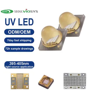 Seoul Viosys 405nm UV LED Chip polimerizzazione rilevamento fluorescente Chip diodi di stampa 3D