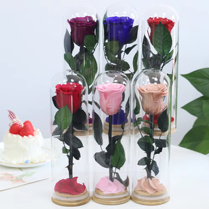 Rosa Preservada en Campana de Cristal, Flor Eterna Entera con Base de Madera, Regalo Romántico <span class=keywords><strong>para</strong></span> Ella, Día de San Valentín, Propuesta de Matrimonio - Product Image 4