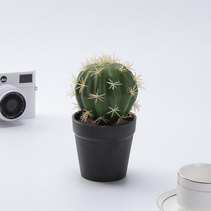 Cactus Artificial en Maceta, Decoración <span class=keywords><strong>de</strong></span> Cactus Espinoso, Planta Suculenta Simulada, Decoración <span class=keywords><strong>de</strong></span> Bonsái - Product Image 4