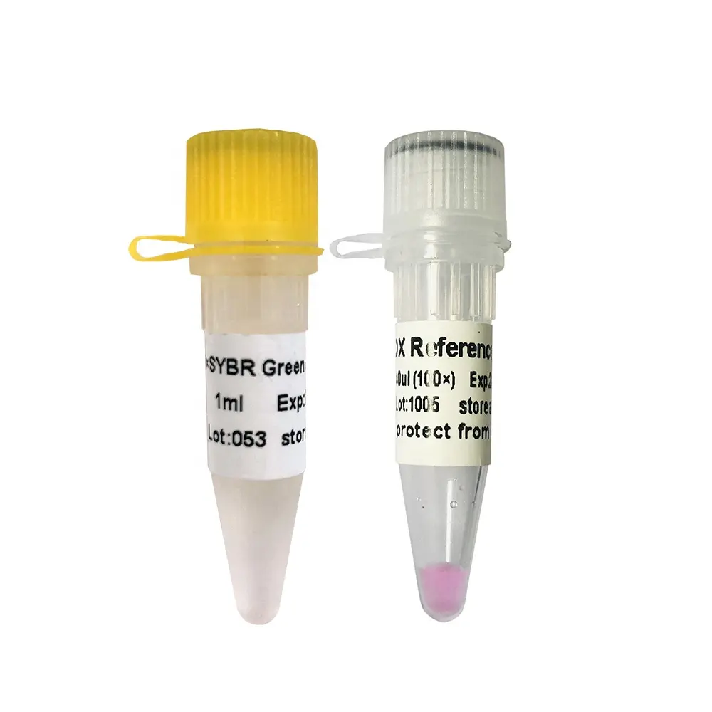 SYBR Green QPCR Mix (High Rox +), Pcr Waktu Nyata, Kit PCR RT P2091b/P2092b
