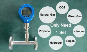 2 inç DN50 azot Argon hidrojen helyum hava kütle akış ölçer termal gaz kütle akış ölçer verici - Product Image 6