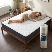 Lits à ressorts sur mesure de haute qualité, taille Queen, taille King, meilleur mousseur à mémoire de forme compressé, double ressort, matelas en mousse