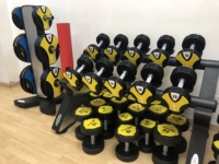 Vente en gros d'haltères en uréthane bon marché personnalisés équipement d'exercice de gymnastique fabricant d'haltères en PU à tête ronde