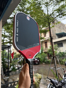 ไม้พายพิคเคิลบอล EAVX Gen 4 ระดับมืออาชีพ โครงสร้างไทเทเนียมขึ้นรูปด้วยความร้อน โปรไฟล์ไร้ขอบ แกนไม้ป็อปลาร์ เพิ่มพลังการหมุน - Product Image 2
