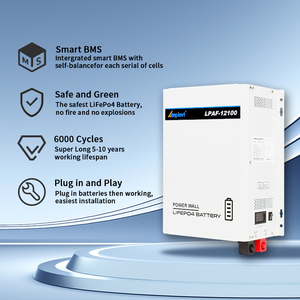 Hot Koop <span class=keywords><strong>12V</strong></span> 24V 100ah Lifepo4 Batterij Cilindrische Lithium Ion Batterijen Voor Zonne-Energie Systeem Voor Batterij Huis - Product Image 6