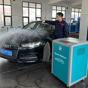 220V 9KW Watersaving Mobile Car Wash 20L Steam Cleaner For Cars Sanitizes And Deodorizes