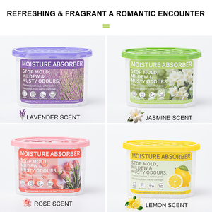 Déshumidificateurs domestiques <span class=keywords><strong>anti</strong></span>-humidité, boîte absorbante d'humidité pour armoire - Product Image 4