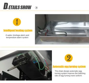 Máquina incubadora de ovos HHD WONEGG média totalmente automática com energia solar 5000