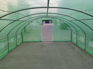 Serra a Tunnel Monocampata 10x4x2m per Agricoltura - Product Image 4
