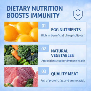 מזון יבש לכלבים בסיטונאות, פורמולה עשירה בחלבון, ניתן להתאמה אישית לפי דרישת הלקוח (OEM) - Product Image 2