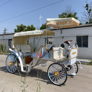 Charrette de tourisme, chariot européen à chevaux, charrette citrouille, charrette de mariage, charrette électrique à chevaux - Product Image 4