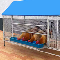 Nouvelle cage galvanisée de type anti-pluie de haute qualité, capacité de 15 oiseaux