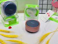EWA A120 – Meilleur haut-parleur Bluetooth sans fil, mini, portable, en métal, pour téléphone et ordinateur, avec carte son et subwoofer, cadeau idéal, petit canon d'extérieur en acier
