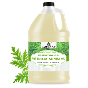 Aceite Esencial de Artemisia Annua de Alta Calidad, Aceite Puro y Natural de <span class=keywords><strong>Ajenjo</strong></span> <span class=keywords><strong>Dulce</strong></span> para Aromaterapia, Cuidado Cosmético de la Piel - Product Image 3