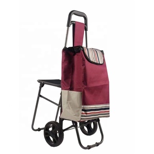 Carrello Pieghevole per la Spesa con Seduta e Logo Personalizzato, Borsa per la Spesa di Verdure - Product Image 1