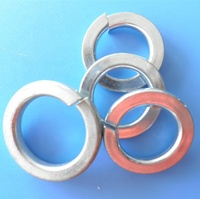 DIN127 Spring Washers Hot-dip Galvanised Made in China High Quality