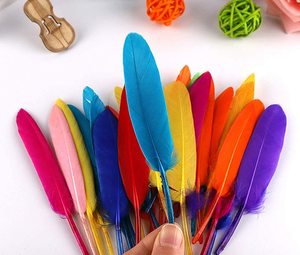 Plumas de poste duras de colores variados, para manualidades en plumas, DIY, para vestido, 4-6 pulgadas, venta al por mayor - Product Image 6