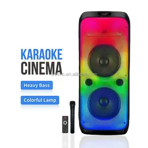 Dr-1027 Private Model Dubbel 8 Inch Draagbare Zware Karaoke Speaker J B L Partybox 300 Trolly Bluetooth Speaker