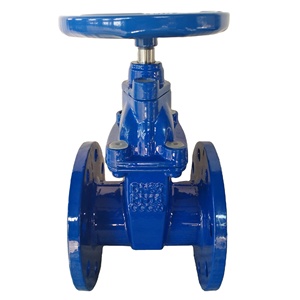 วาล์วประตูเหล็กดัดแบบมีมือหมุน - Product Image 3