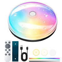 Plafonnier LED RGB CCT rechargeable pour salle, design à installation magnétique, batterie 4000mA 10000mA pour salle de bain et éclairage d'ambiance