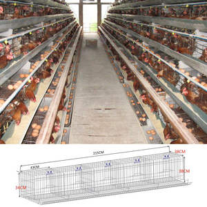 Cage à poules pondeuses de <span class=keywords><strong>type</strong></span> A, en batterie, galvanisée à chaud, pour l'élevage avicole, conception personnalisée pour la ferme - Product Image 1