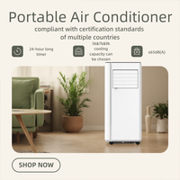 Climatisation portable AC/DC, refroidissement/chauffage, économe en énergie, pour la maison et l'hôtel, avec télécommande, élimination de l'humidité, pour les États-Unis et l'Australie