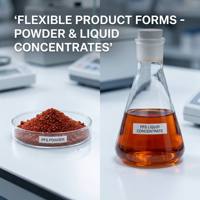 Floculant standard PFS (Polyferric Sulfate) pour l'élimination de la turbidité et la purification quotidienne de l'eau