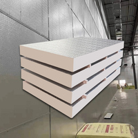 Panel de Aislamiento Térmico Fenólico para Estructuras de Acero, Panel de Pared para Ahorro de Energía en Edificios