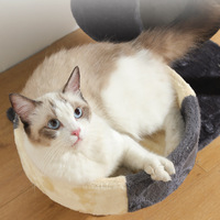 Meilleure vente 2026 : Arbre à chat en peluche avec griffoir, condo pour chat, hamac suspendu et structure d'escalade intérieure pour chat, vente en gros pour animaux de compagnie