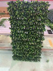 Vườn bán buôn vườn <span class=keywords><strong>trellis</strong></span> mở rộng nhựa <span class=keywords><strong>trellis</strong></span> nhân tạo dây leo hàng rào - Product Image 3