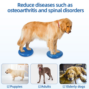 Tablero de entrenamiento de equilibrio de mascotas inflable de PVC de moda entrenamiento de fuerza y ejercicio conjunto para perros suministros para mascotas - Product Image 6