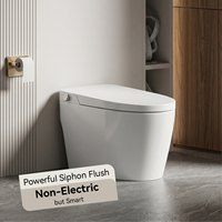 WC intelligent non électrique avec réservoir encastré, installation au sol, chasse d'eau par siphon, fonctions de lavage des fesses, céramique PP