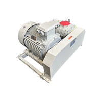 Blower Roots Besi Cor Tekanan Tinggi Rendah Kebisingan AC untuk Pompa Vakum Pabrik Pulp Kertas dengan Kustomisasi OEM dan 50Hz