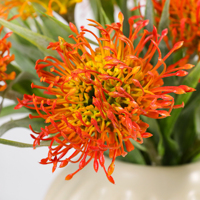 Fleur artificielle de Leucospermum à tige unique de 52 cm, en soie, toucher réel, fleur exotique de Protea pour la décoration de la maison et de mariage, vente en gros